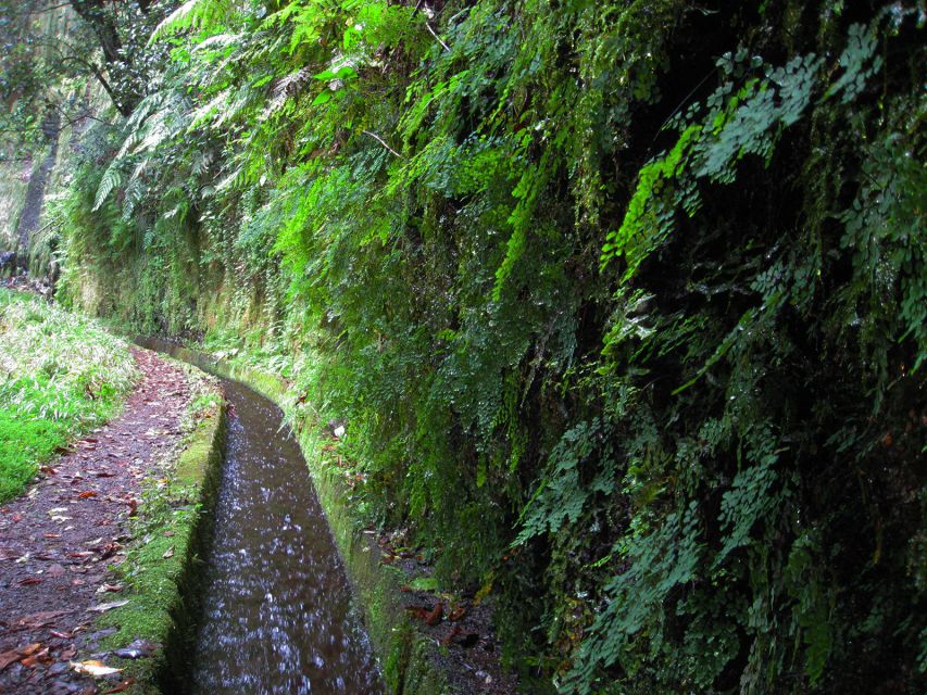 From Funchal: São Jorge Valleys Levada Walk - Who should book this walk?