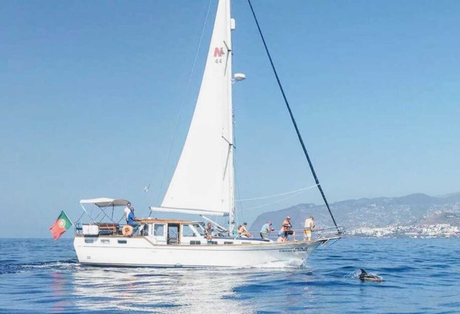 From Funchal: West Bays Sailing Tour with Lunch - A five-hour route along Madeira’s west coast
