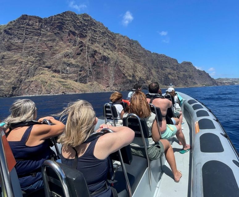 From Funchal: Whale and Dolphin Watching - Key points at a glance