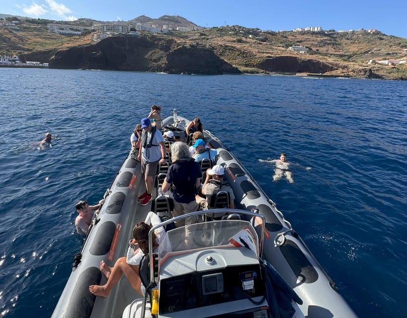 From Funchal: Whale and Dolphin Watching - Is there time to swim?
