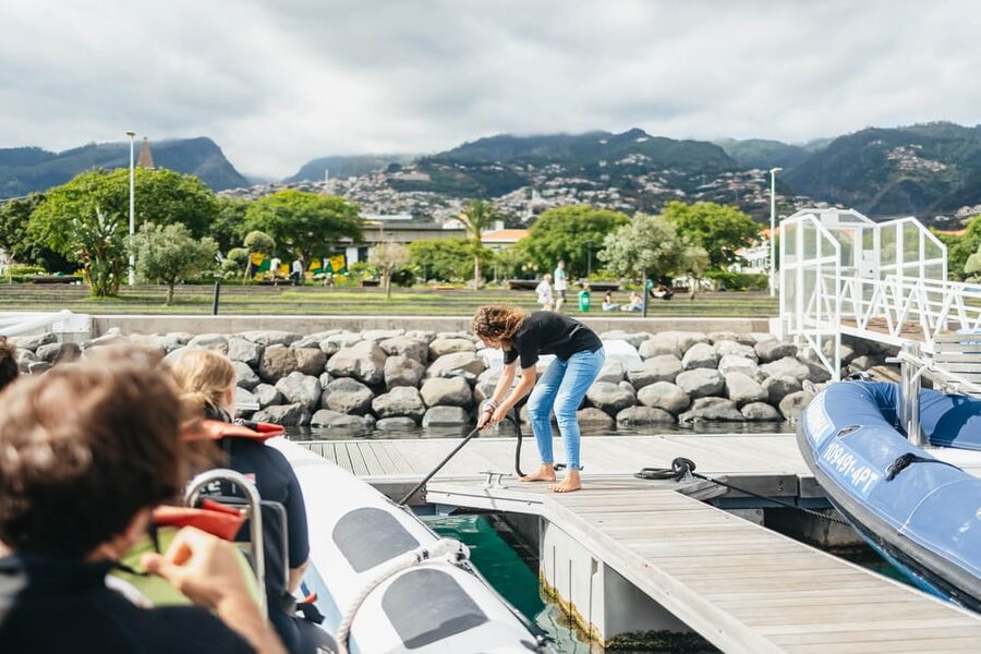 From Funchal: Whales and Dolphin Adventure Tour - Why the small boat changes the experience
