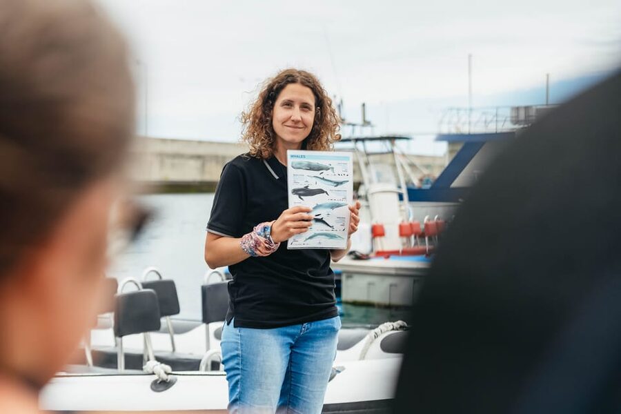 From Funchal: Whales and Dolphin Adventure Tour - Is $58 a fair price?