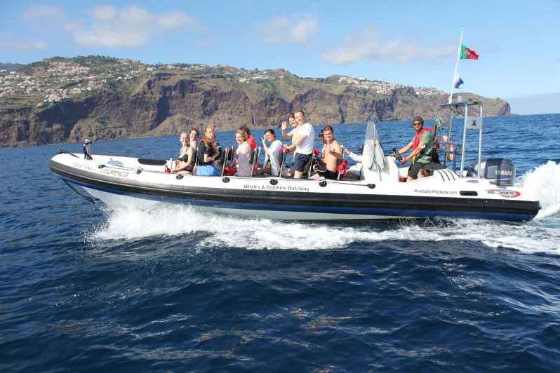 From Funchal: Whales and Dolphin Adventure Tour - Leaving Funchal’s new marina