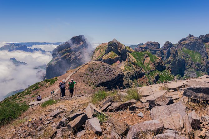 Full Day East of Madeira Tour - Ribeiro Frio, trout, and a short levada walk