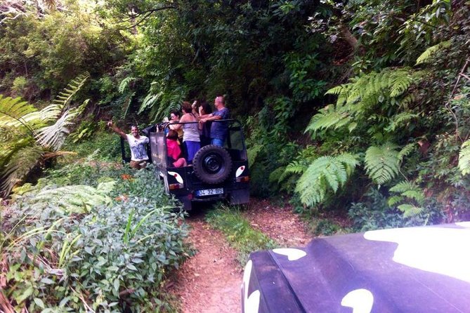 Full Day Jeep Safari East - Pico do Areeiro - Santana - Ponta de são Lourenço - Miradouro do Guindaste: Cliffs and Open Atlantic