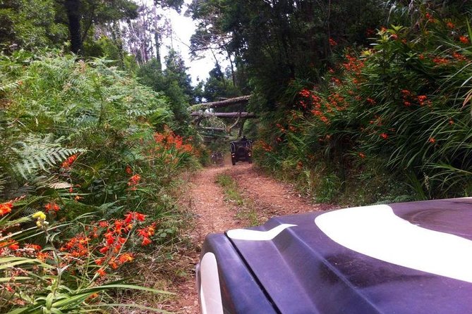 Full-Day Jeep Safari West: Fanal, Porto Moniz, Seixal, Cabo Girão - Câmara de Lobos starts the day by the water