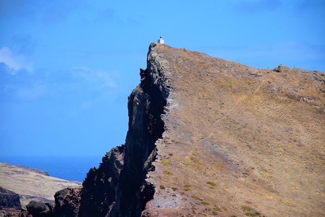 Full Day - Madeira East - Ribeiro Frio offers a short forest break