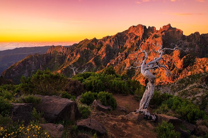 Full Day Madeira Island Tour - Open Roof - Seixal and the Véu da Noiva waterfall