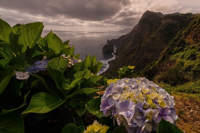 Full Day Madeira Island Tour - Open Roof - Two hours in Porto Moniz
