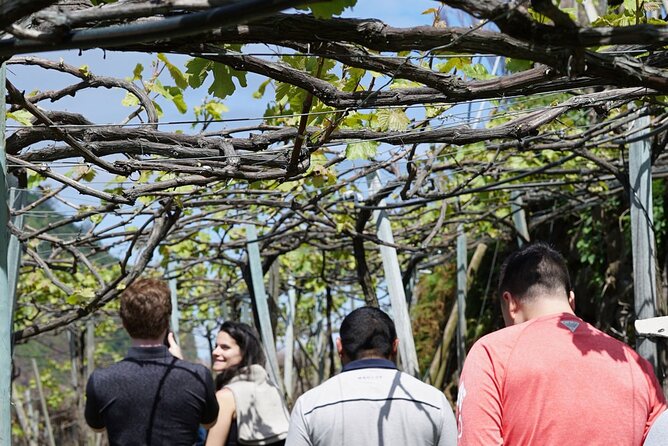 Full-Day Madeira Wine Tasting Tour with Lunch - What the $254.07 price includes