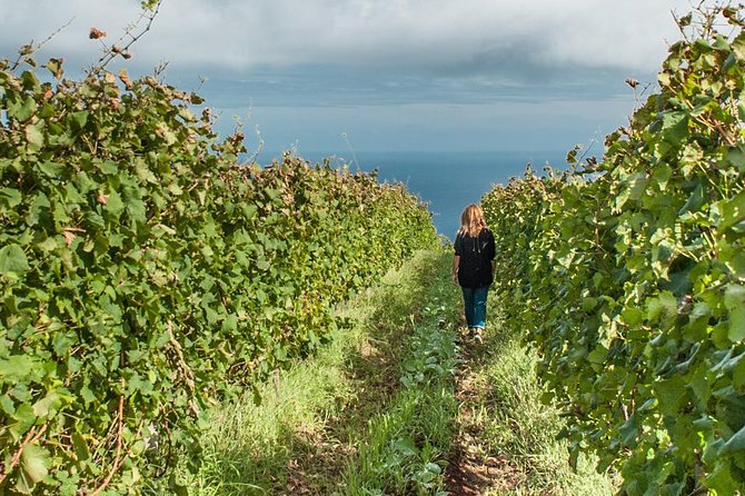 Full-Day Madeira Wine Tasting Tour with Lunch - From Funchal to São Vicente: the scenic northbound route