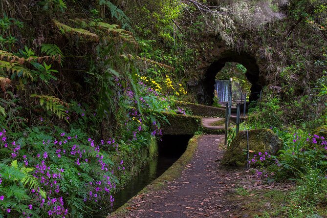 Full Day of Wonders: Madeira 4x4 Private Tour - Who will enjoy this tour most