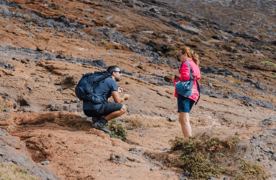 Full Day Ponta de São Lourenço - Natural Reserve - Language, group pace, and practical limits