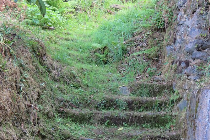Full Day Private 4x4 Adventure in Madeira - The guide and the private-day advantage