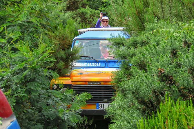 Full Day Private 4x4 Tour in West Madeira with Local Guide - Why a private 4x4 makes sense in west Madeira