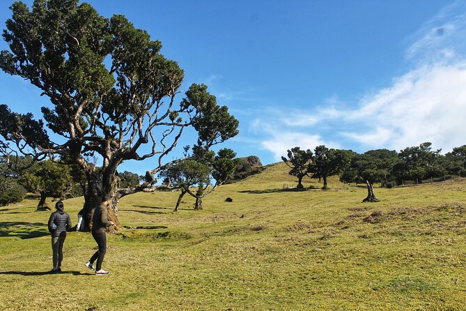 Full Day Private 4x4 Tour in West Madeira with Local Guide - Serra de Água and the climb toward Encumeada