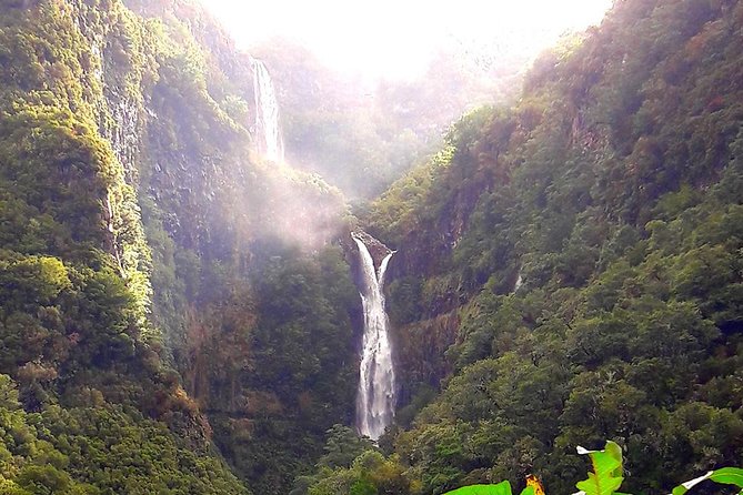 Full-Day Rabaçal Levada Walk from Funchal - The Crowd Question