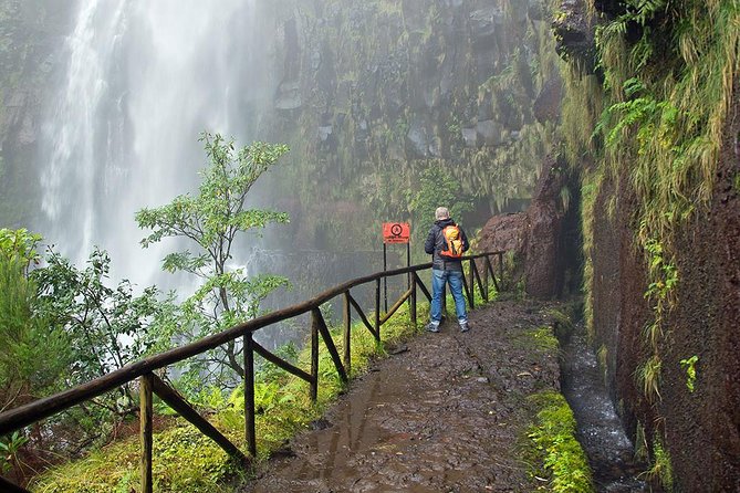 Full-Day Rabaçal Levada Walk from Funchal - Who Will Enjoy This Walk Most