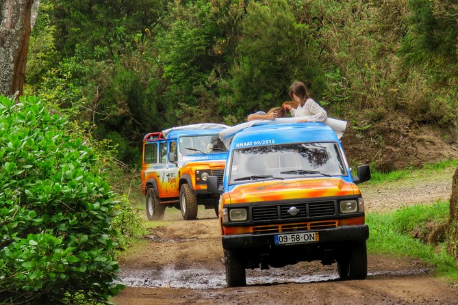 Full Day Santana Wonders and Northeast 4WD Experience - Guides, local knowledge, and the human side of the day
