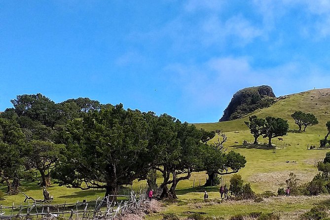 Full-Day Small Group Jeep Safari Tour from Funchal - Who will enjoy this tour most