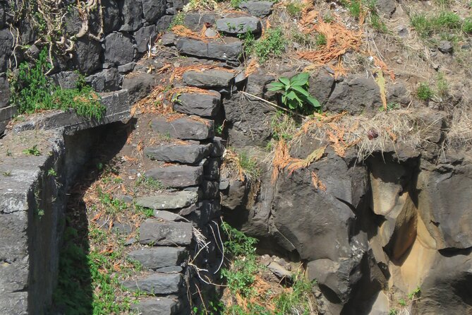 Full Day Tour in 4x4 Jeep to Porto Moniz and Fanal - Ribeira da Janela and the northwest coast
