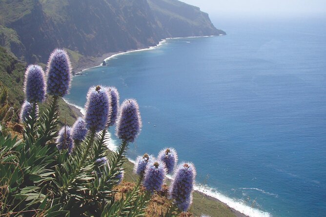 Full Day Tour of the West Zone of Madeira - Cabo Girão: a high view with a small extra fee