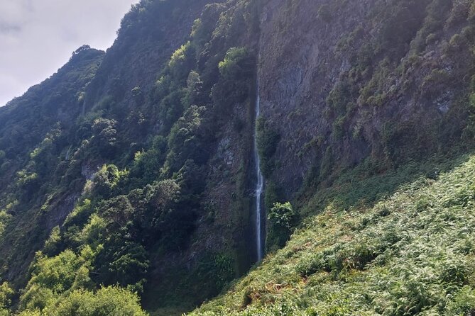 Full day West Adventure Jeep Tour in Madeira Portugal - Fanal Forest slows the pace among old trees