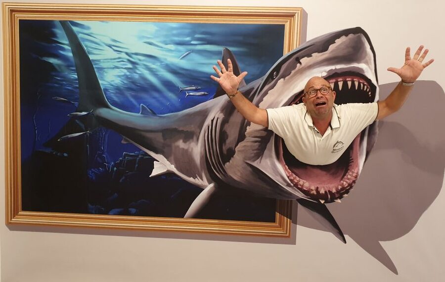 Funchal: 3D Fun Art Museum - Key points to know before you go