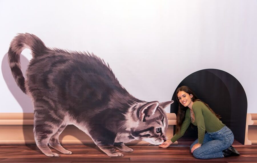 Funchal: 3D Fun Art Museum - How to fit it into a Funchal day