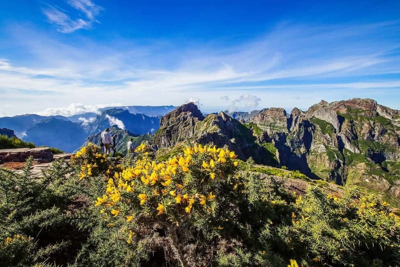 Funchal: 4x4 Jeep Trip to the East and Northeast of Madeira - Key points before you book
