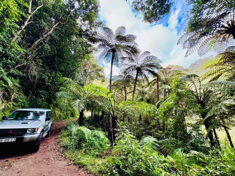 Funchal: 4x4 Jeep Trip to the East and Northeast of Madeira - Pico do Arieiro at 1,818 meters