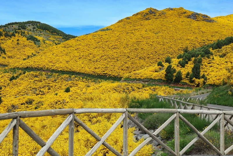 Funchal: 4x4 Jeep Trip to the East and Northeast of Madeira - Faial and Miradouro do Guindaste