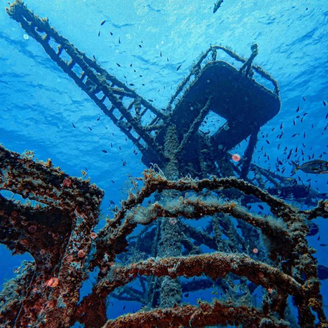 Funchal: Advanced Scuba Diving Afonso Cerqueira Wreck - Inside the engine room and cafeteria