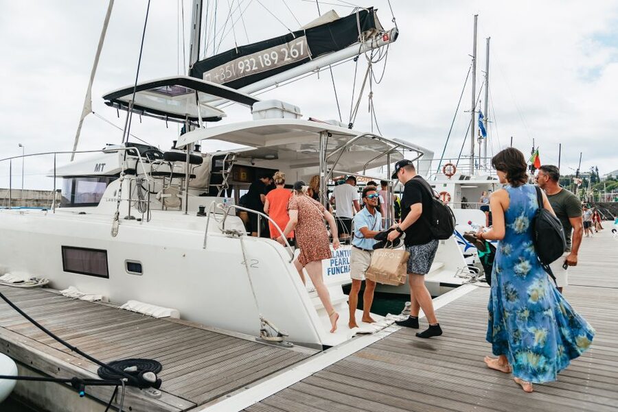 Funchal Bay: Dolphin & Whale Watch Luxury Catamaran Cruise - The wildlife search near Funchal Bay