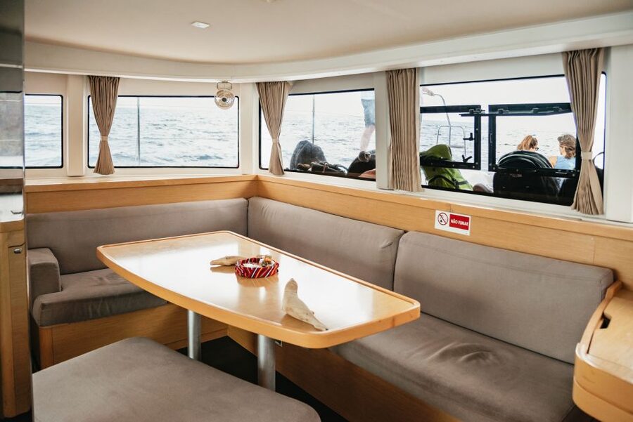 Funchal Bay: Dolphin & Whale Watch Luxury Catamaran Cruise - Why the smaller catamaran matters