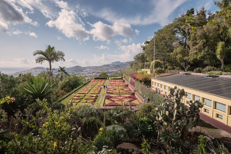 Funchal: Botanical Garden and Old Town Private Tuk-Tuk Tour - Exploring Madeira’s Botanical Garden