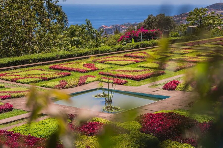 Funchal: Botanical Garden and Old Town Private Tuk-Tuk Tour - Starting in Funchal’s Zona Velha