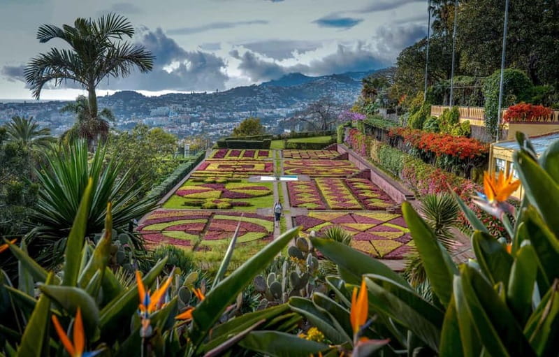 Funchal: Botanical Garden & Old Town Tour by TukTuk (1h45) - Why Pair Funchal’s Old Town With the Botanical Garden?