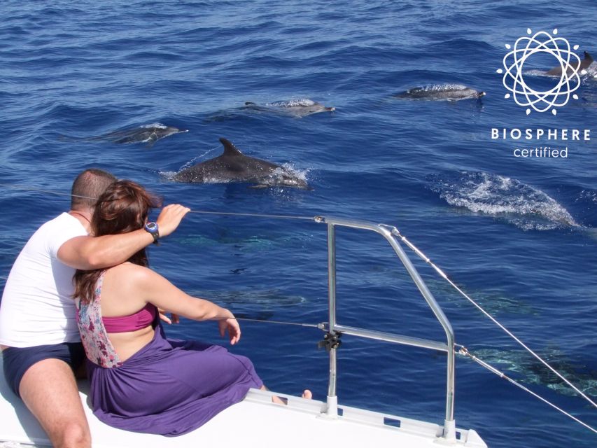 Funchal: Cabo Girão, Wines Tasting and Dolphins Watching - From Funchal to the high view at Boca dos Namorados