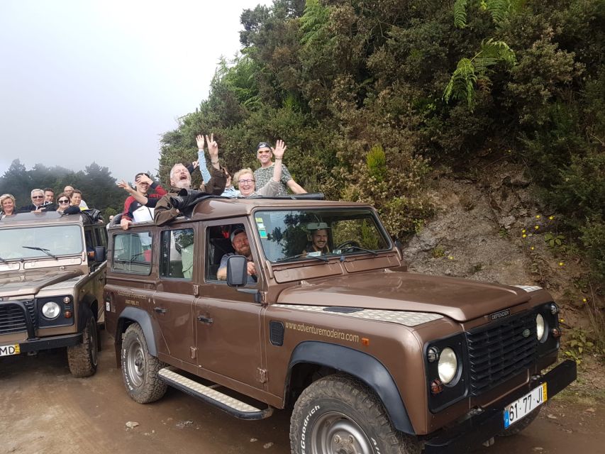 Funchal: Cabo Girão, Wines Tasting and Dolphins Watching - Madeira wine at Henriques & Henriques