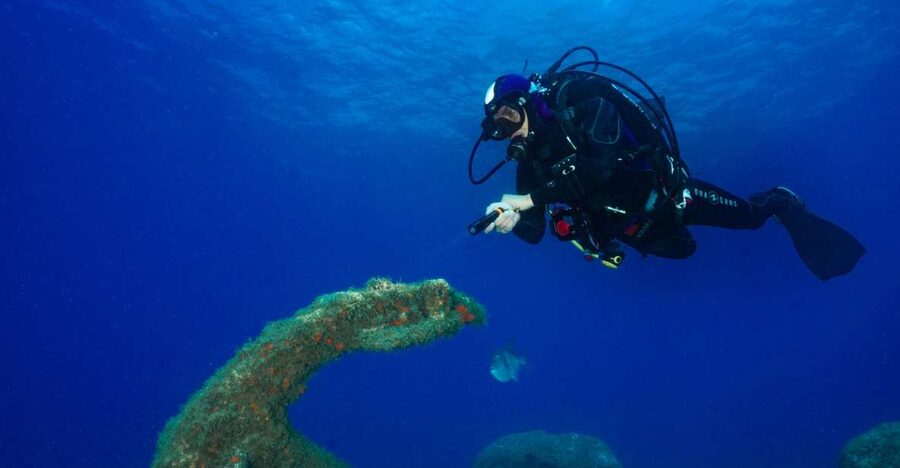 Funchal: Certified Scuba Diving, Guided Tour - Booking details that affect your plans