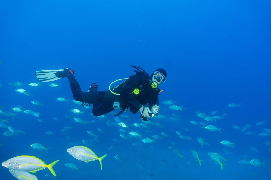 Funchal: Certified Scuba Diving, Guided Tour - Equipment, showers, and the real price