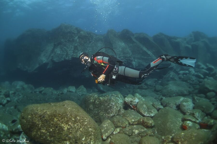 Funchal: Certified Scuba Diving, Guided Tour - Entering the water from sea level