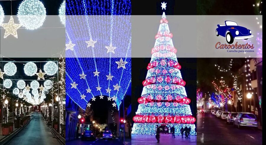 Funchal: Christmas Lights Sightseeing Night Tour - Is $41 a fair price?