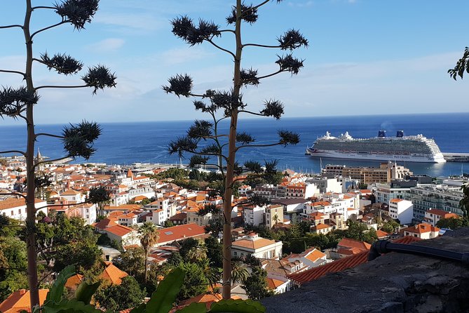 Funchal City Tour + Old Town - Funchal’s museum, cathedral, and market