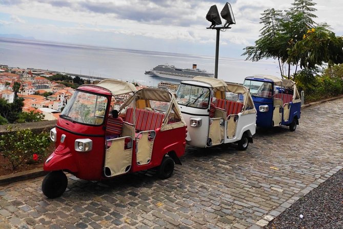 Funchal City Tour + Old Town - Barreirinha and the Atlantic view