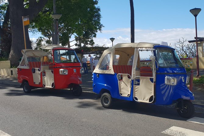 Funchal City Tour + Old Town - Is $38.62 per person good value?