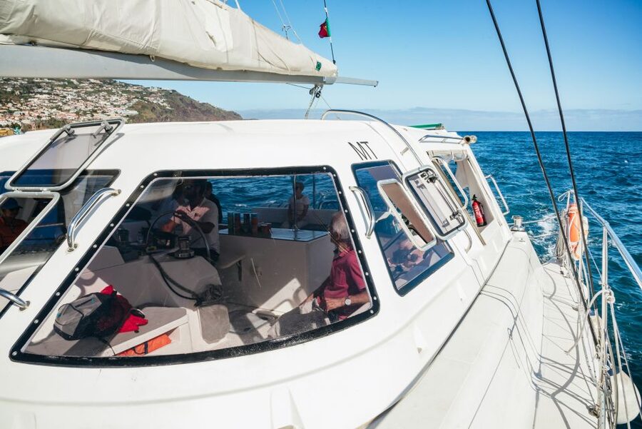 Funchal: Dolphin and Whale Watching by Luxury Catamaran - Setting Out From Funchal Marina