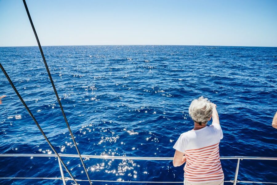 Funchal: Dolphin and Whale Watching by Luxury Catamaran - Watching for Dolphins and Whales