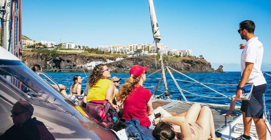 Funchal: Dolphin and Whale Watching by Luxury Catamaran - The Ride Back Along Madeira’s Coast